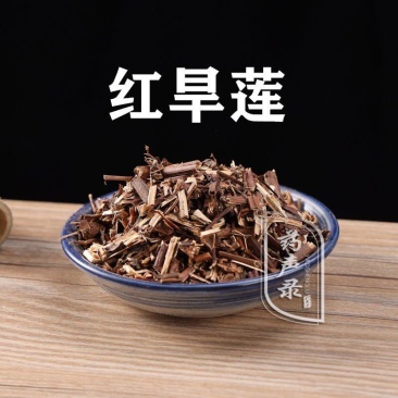 冷背中药材红旱莲牛心菜鸡心菜大金雀四方草