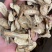 金黄牛蒡茶黄金牛蒡茶500克