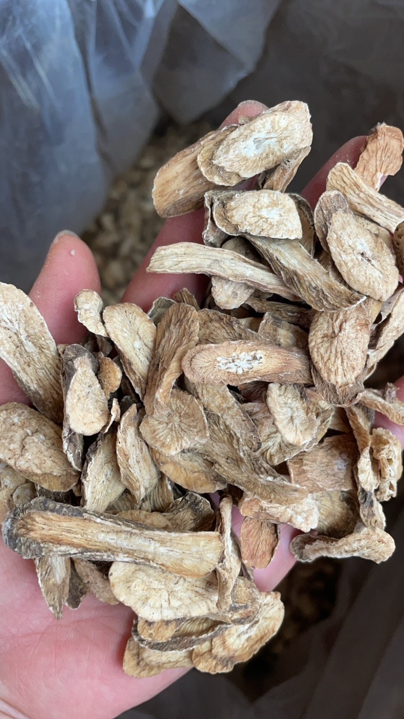 金黄牛蒡茶黄金牛蒡茶500克