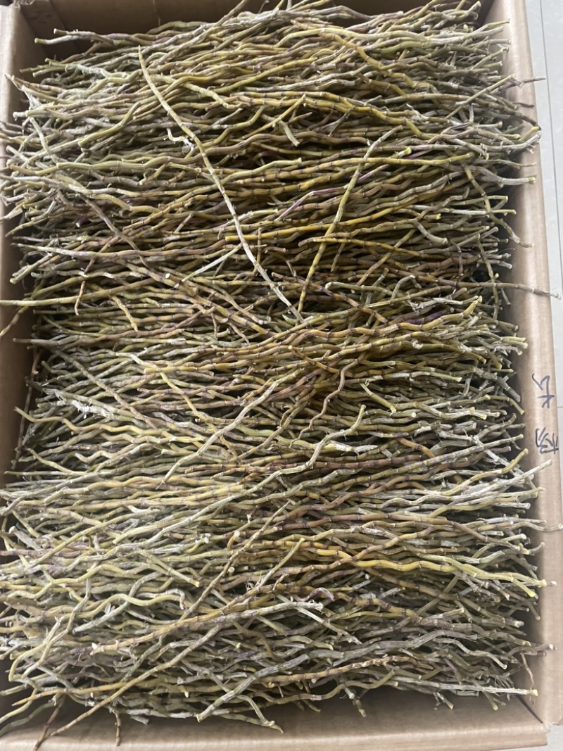 精选铁皮石斛干条粗500克种类多鲜货干货都有