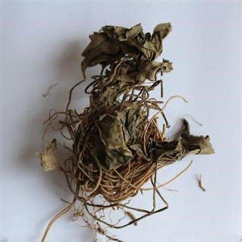 杜衡中药材杜衡别名马蹄香南细辛马辛原