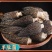 七珍菌汤料包50克/65克菌汤包一件代发多种规格