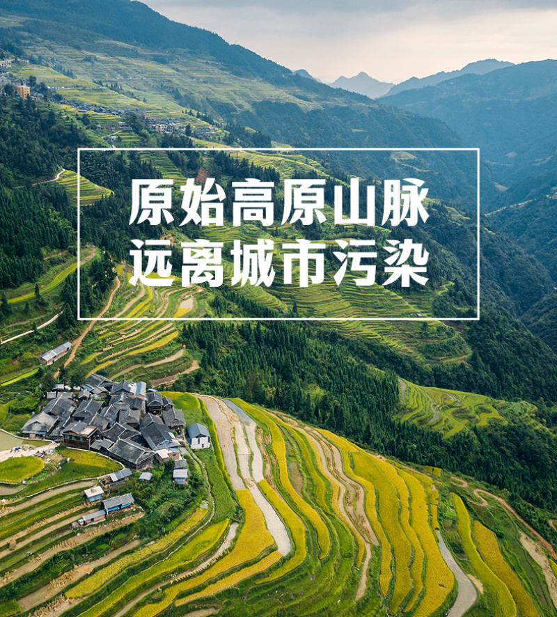 七珍菌汤料包50克/65克菌汤包一件代发多种规格