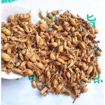 中药材佛手花佛柑花特级佛手花佛手花