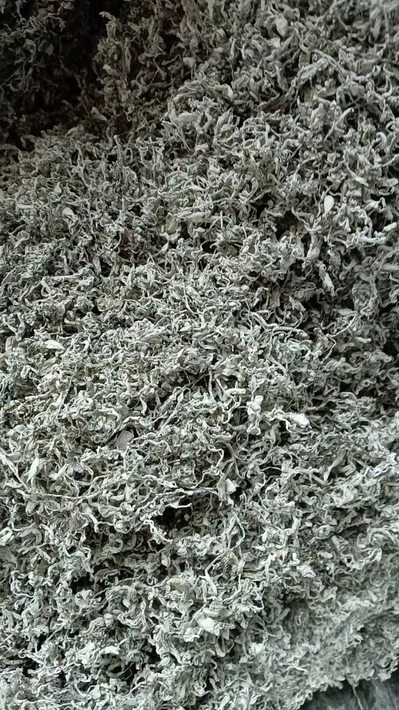 莓茶一手货源保质保量供应市场商超电商量大价优