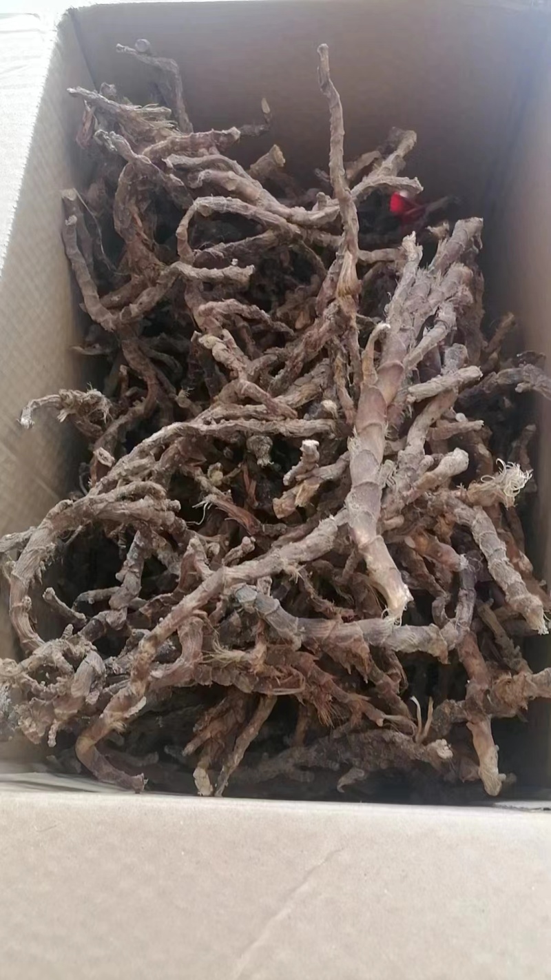 石菖蒲精选干货