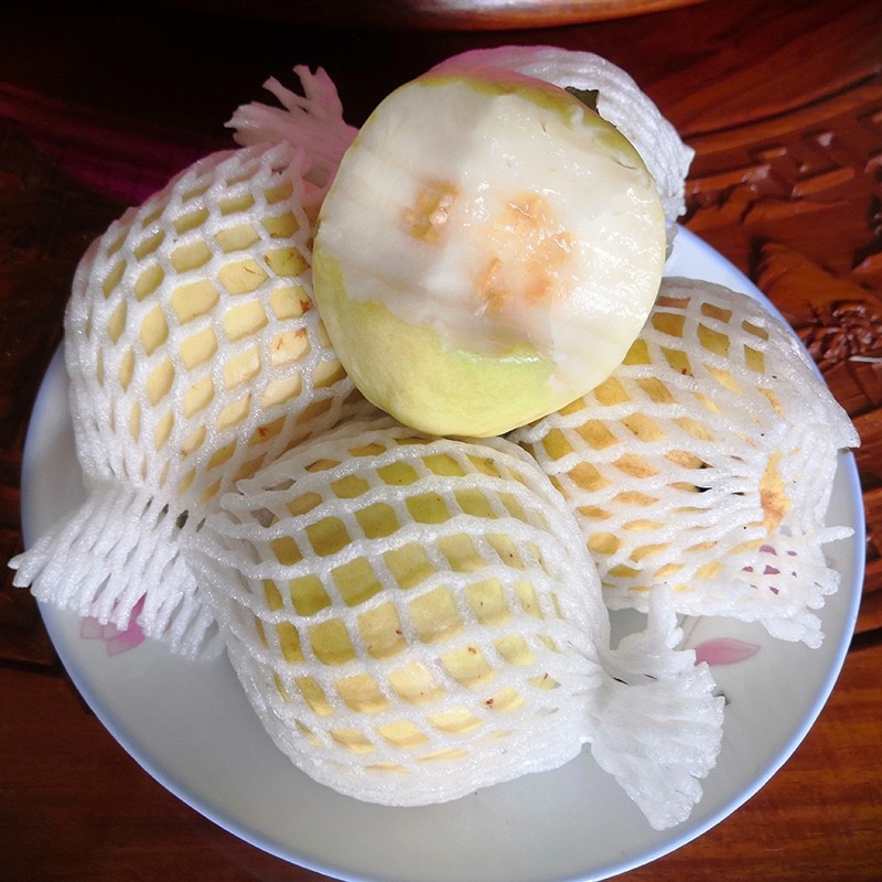 新鲜应季红心芭乐白心芭乐脆甜多汁每天现摘现发