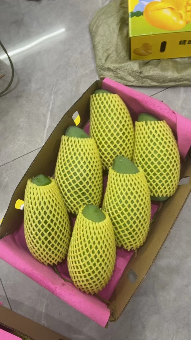 广西百色精品芒果，口感好，品相好，大量有货欢迎订购