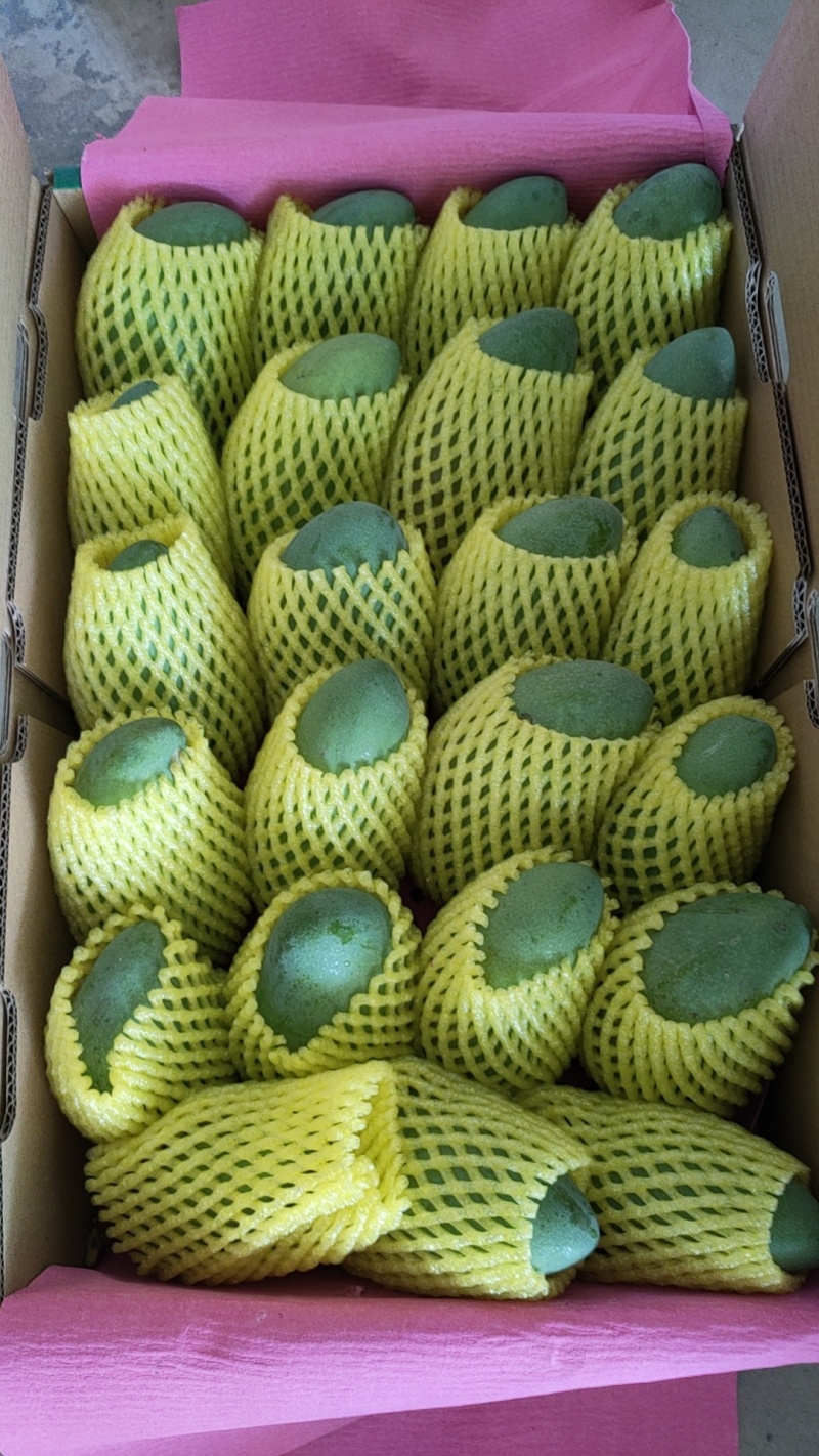 广西百色精品芒果，口感好，品相好，大量有货欢迎订购
