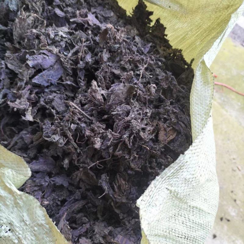 紫苏叶干货，家种供应自产自销，欢迎电话咨询订购
