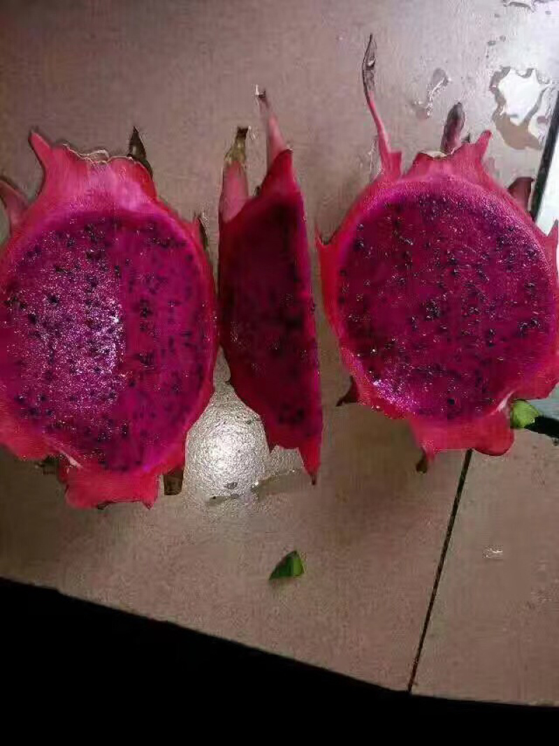 火龙果