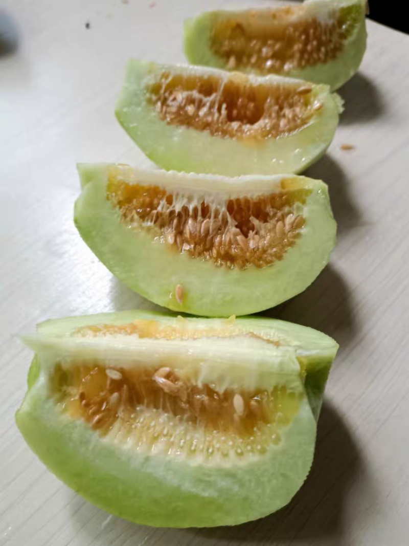 湖北香瓜丑八怪甜瓜脆甜可口产地大量有货