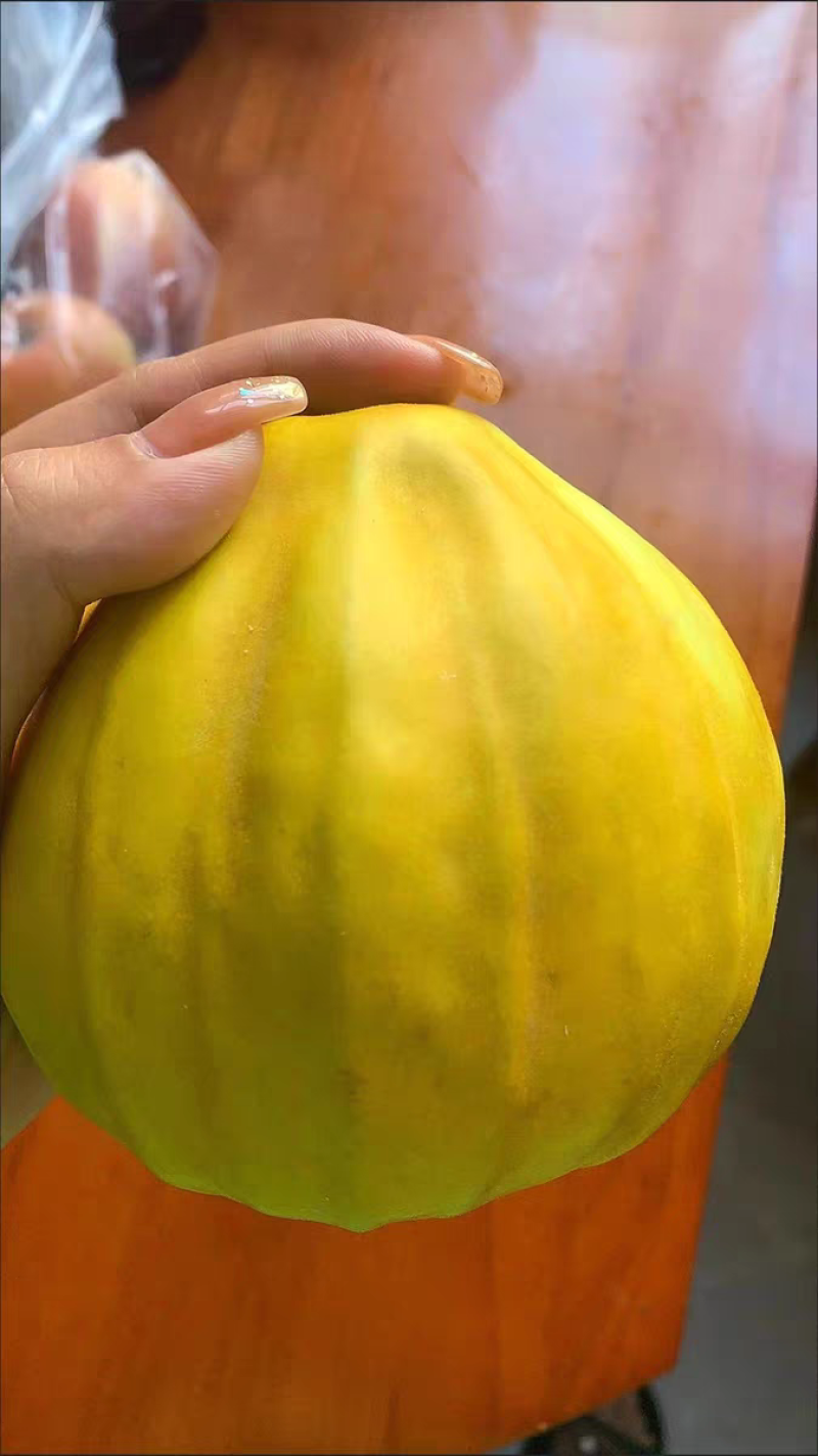 湖北香瓜丑八怪甜瓜脆甜可口产地大量有货