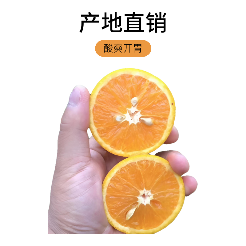 一件代发精品夏橙湖北秭归鲜果供应产地包邮
