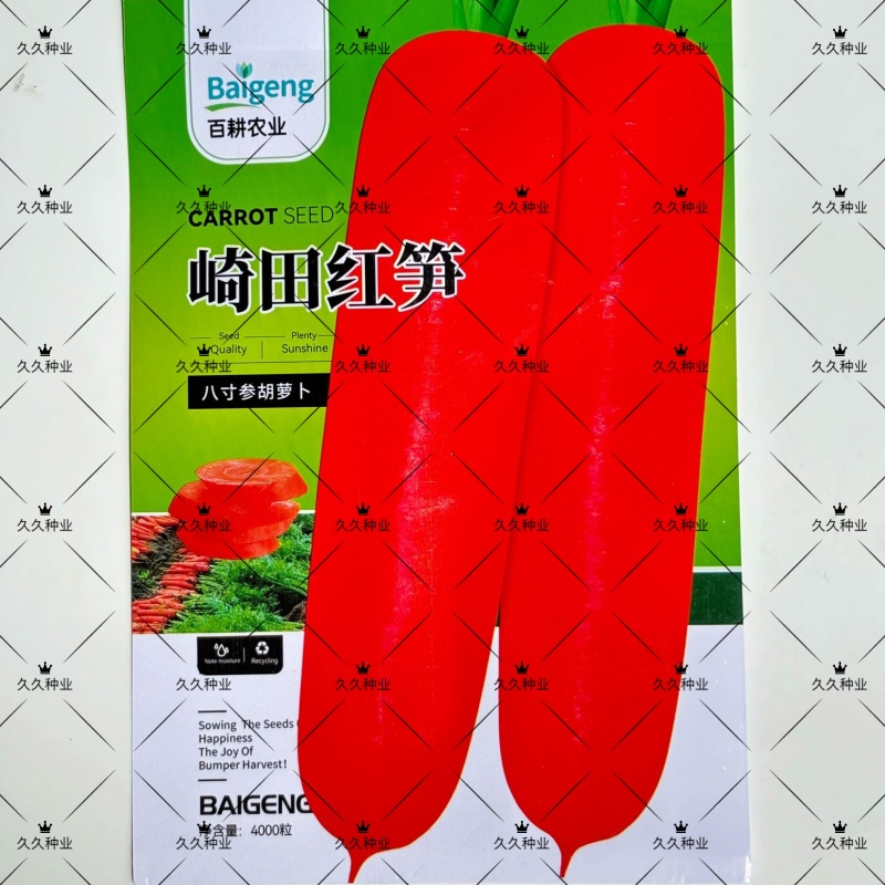 崎田红笋胡萝卜种子根性整齐成品率高耐暑性强皮肉芯均呈橘红