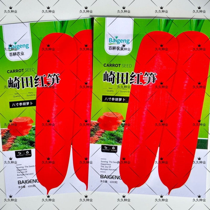 崎田红笋胡萝卜种子根性整齐成品率高耐暑性强皮肉芯均呈橘红