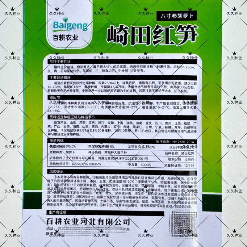 崎田红笋胡萝卜种子根性整齐成品率高耐暑性强皮肉芯均呈橘红
