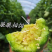 湖北绿宝甜瓜香瓜脆甜绿宝石头茬现摘糖度高