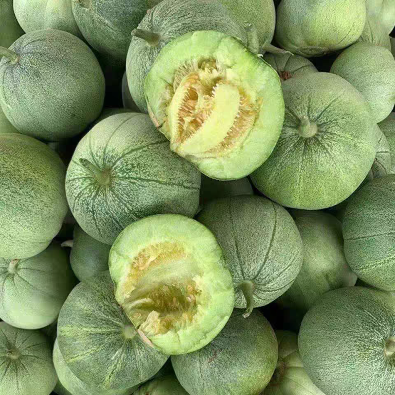 湖北绿宝甜瓜香瓜脆甜绿宝石头茬现摘糖度高