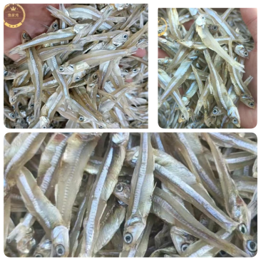 小鱼干展会地摊电商淡干小鱼干白凡鱼干公干鱼干