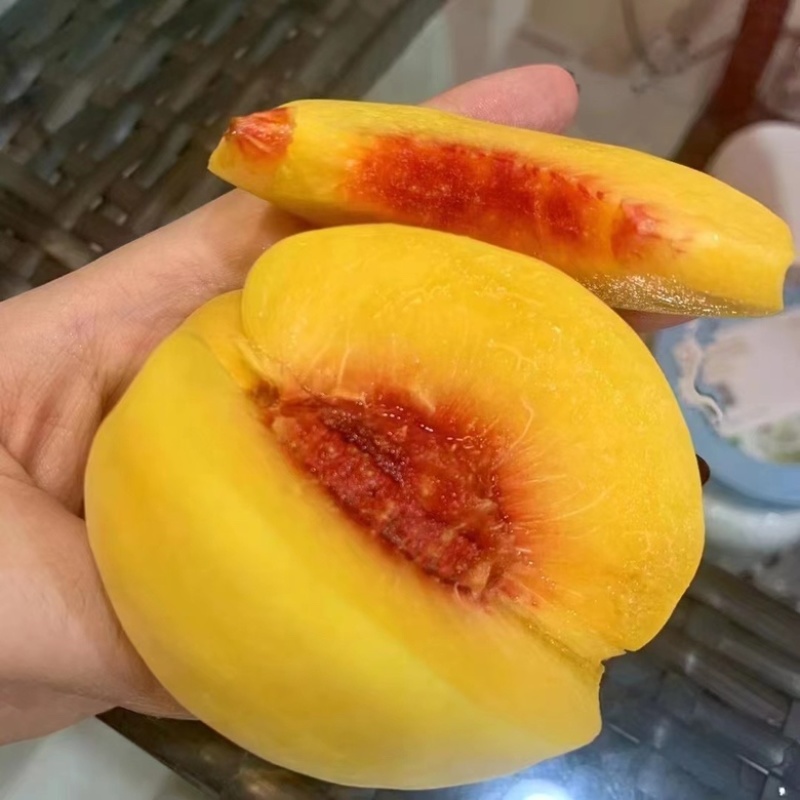 高山锦绣黄桃