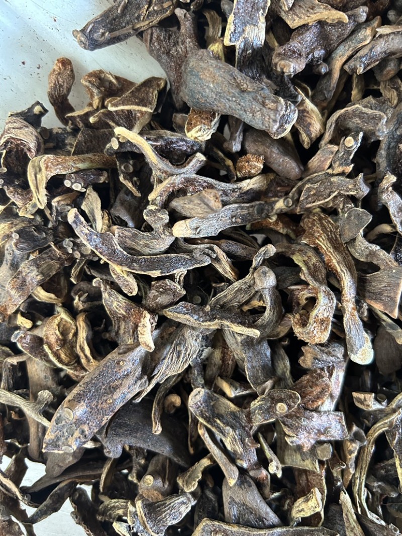 骨碎补