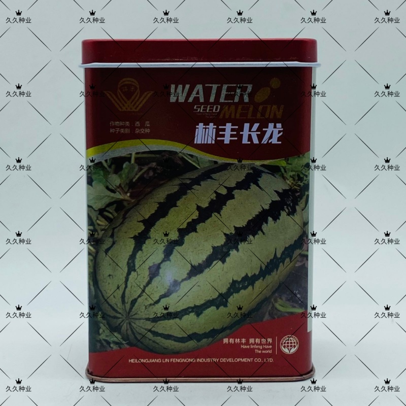 林丰长龙大果椭圆西瓜种子抗病高产大红瓤皮薄