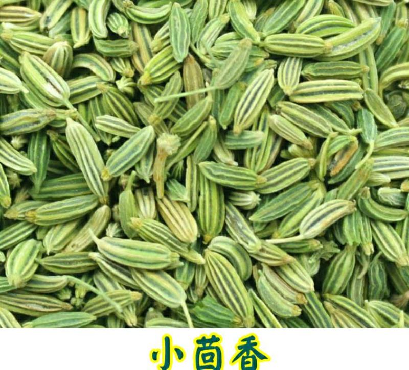 农家小茴香当季节新货颗粒饱满干净无杂原色原味包邮