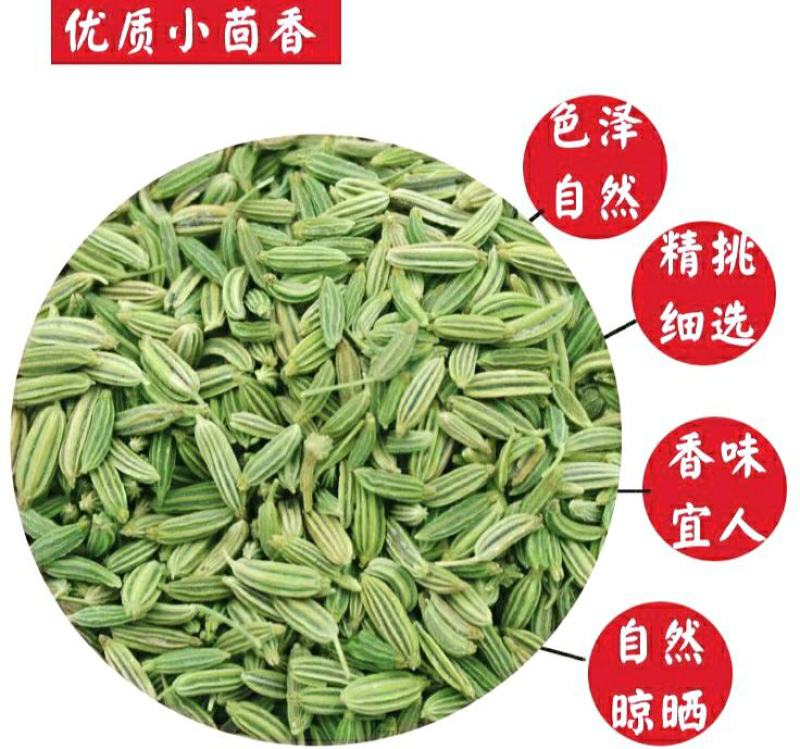 农家小茴香当季节新货颗粒饱满干净无杂原色原味包邮