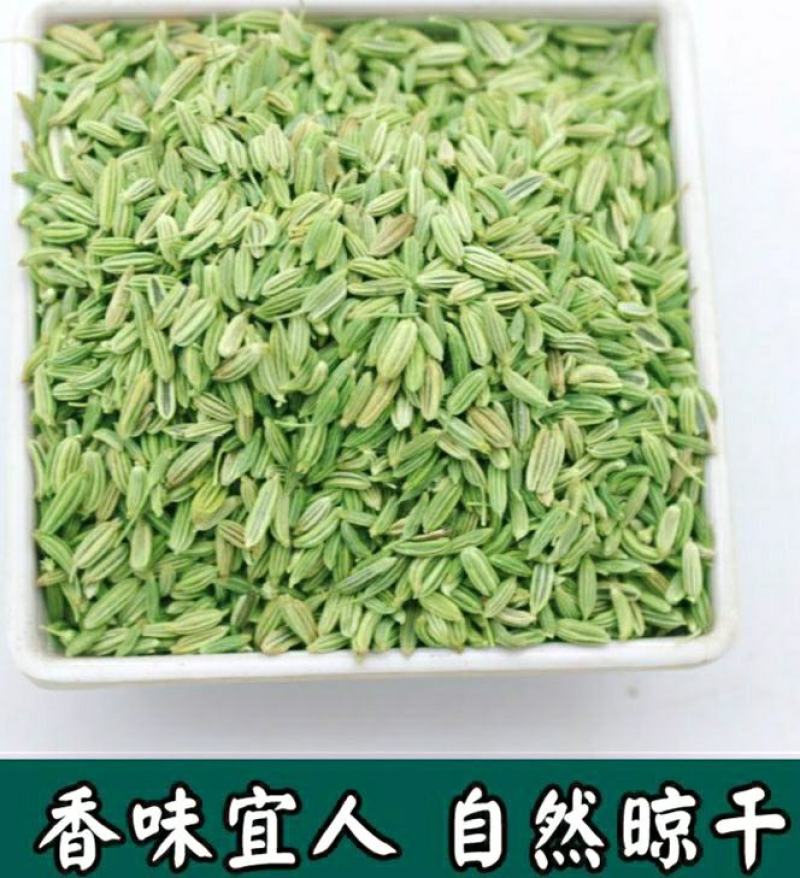 农家小茴香当季节新货颗粒饱满干净无杂原色原味包邮