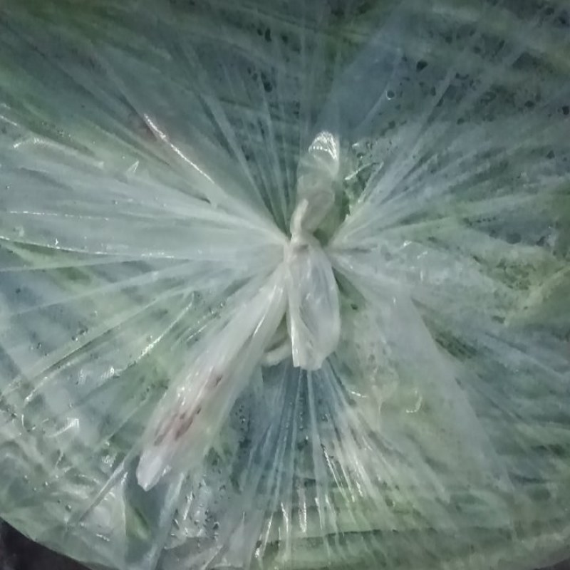 豆角