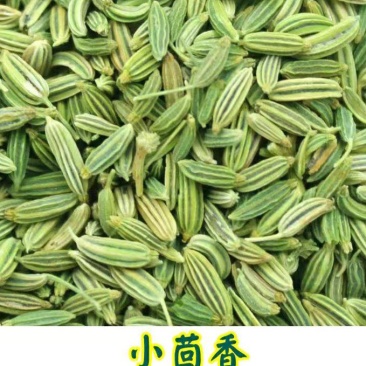 农家小茴香颗粒饱满干净无杂原色原味香料调料包邮