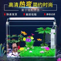 鱼缸客厅家用创意金鱼草缸桌面造景中小型水族箱迷你玻璃斗鱼