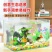 鱼缸客厅家用创意金鱼草缸桌面造景中小型水族箱迷你玻璃斗鱼