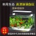 鱼缸客厅家用创意金鱼草缸桌面造景中小型水族箱迷你玻璃斗鱼