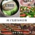 水缸老式老款陶瓷大号储水罐家用庭院荷花缸厨房腌菜酱缸米缸