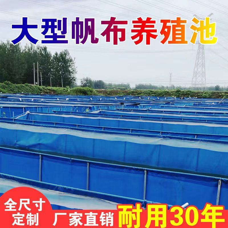 养鱼帆布池简易游泳池防水布大型养殖水箱篷布户外加厚刀刮布