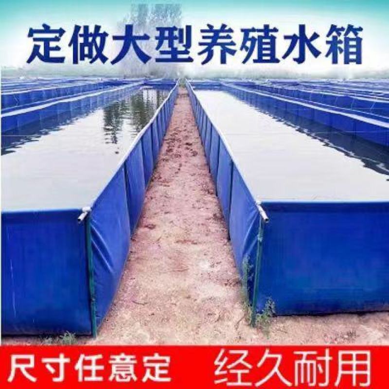 养鱼帆布池简易游泳池防水布大型养殖水箱篷布户外加厚刀刮布