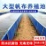 养鱼帆布池简易游泳池防水布大型养殖水箱篷布户外加厚刀刮布
