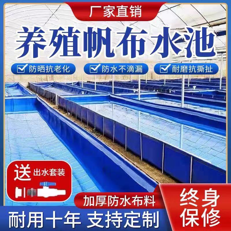 养鱼帆布池简易游泳池防水布大型养殖水箱篷布户外加厚刀刮布