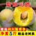 四川半边红茵红李脱骨李大量对接电商一件代发社区团购