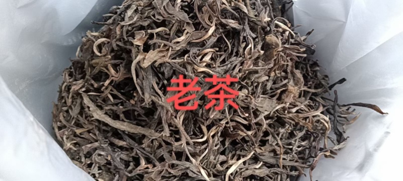 普洱茶源头工厂供应