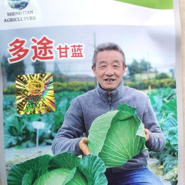 甘蓝种子多途早中熟扁球甘蓝腊粉少颜色鲜绿商品性好