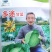 甘蓝种子多途早中熟扁球甘蓝腊粉少颜色鲜绿商品性好