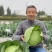 甘蓝种子多途早中熟扁球甘蓝腊粉少颜色鲜绿商品性好