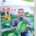 甘蓝种子多途早中熟扁球甘蓝腊粉少颜色鲜绿商品性好
