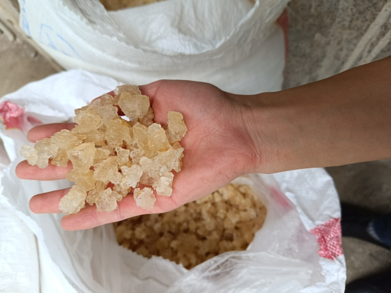 雪燕拉丝雪燕搭配桃胶皂角米