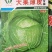 甘蓝种子大果薄皮新育成甜脆莲白中早熟鲜绿薄叶无腊粉