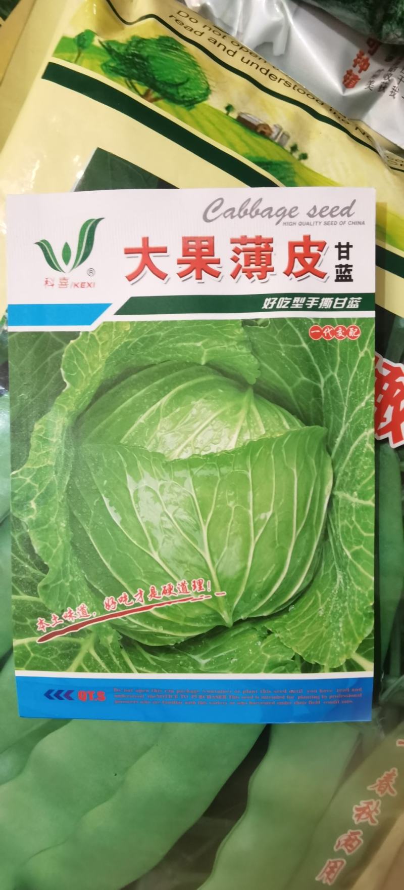 甘蓝种子大果薄皮新育成甜脆莲白中早熟鲜绿薄叶无腊粉