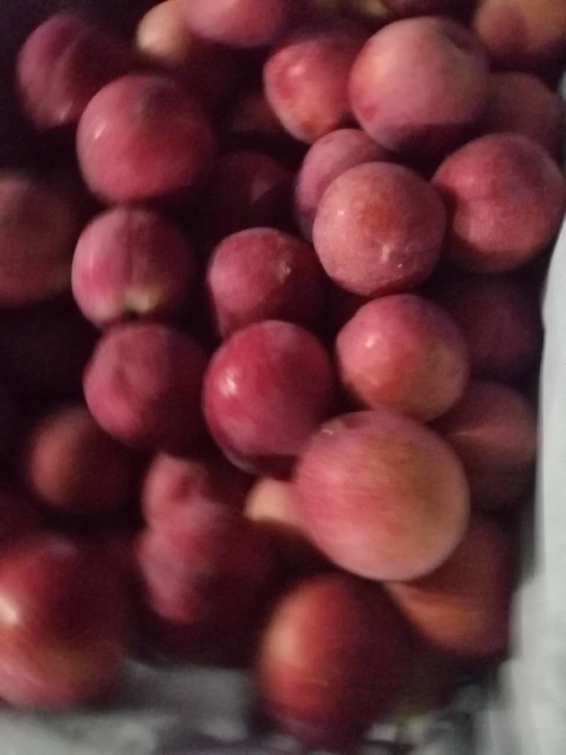 红布林李子大量有货，可供应商超，档口批发。